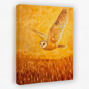 Barn Owl in Sunset Glow