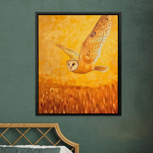 Barn Owl in Sunset Glow