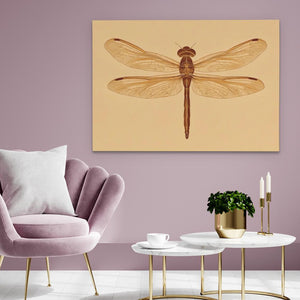 Beige Dragonfly