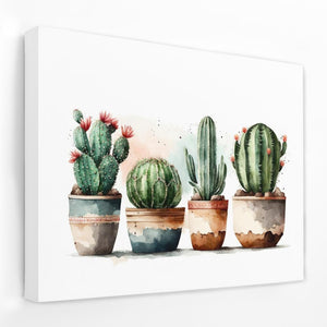 Four Cactus Plants