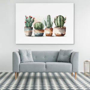 Four Cactus Plants