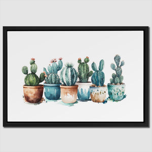 Potted Cacti Plants