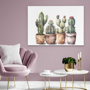 Cactus Collection