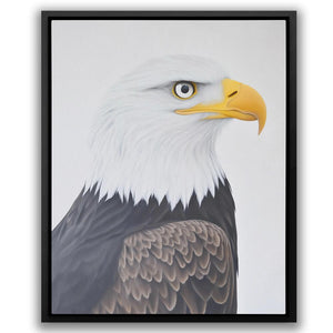 Minimalist Bald Eagle Portrait