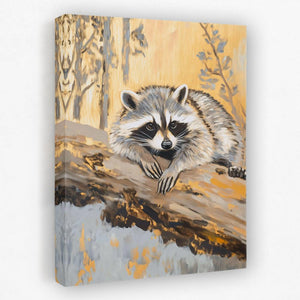 Resting Raccoon