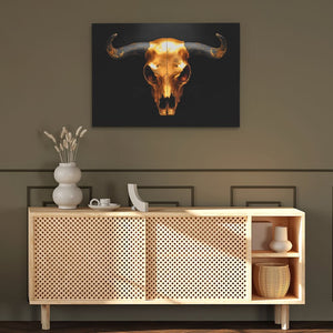 Skull of a Bull
