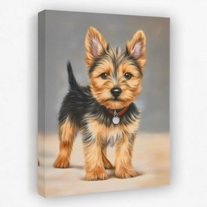 Yorkshire Terrier Portrait