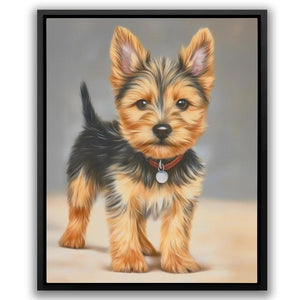 Yorkshire Terrier Portrait