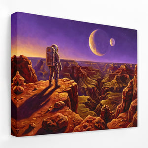Astronaut Canyon Exploration โ Astronaut Canyon Exploration Landscape Side View Mirror Wrap 136