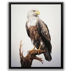 Bald Eagle Drawing - Animals Wall Art in Black Frame