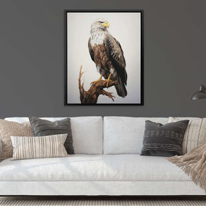 Bald Eagle Drawing - Animals Canvas Print