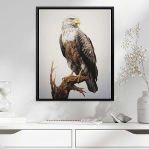 Bald Eagle Drawing - America Art