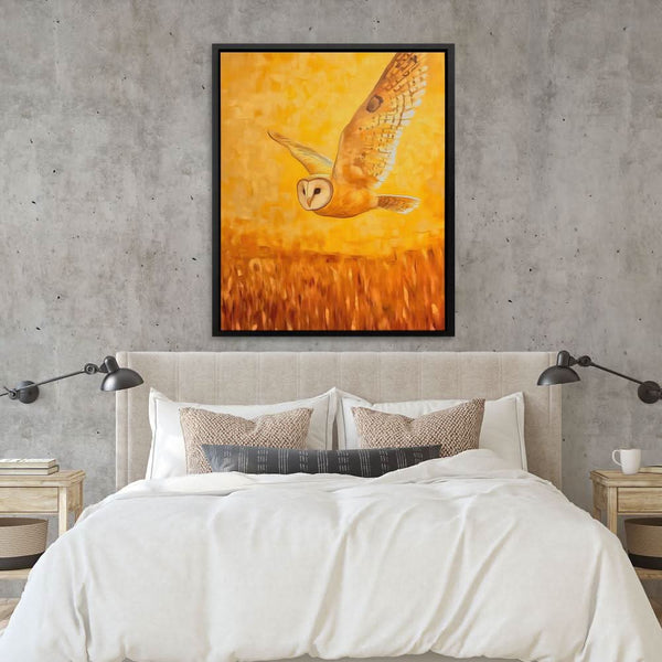 Barn Owl in Sunset Glow in a room