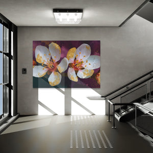 Blossom Golden Glow — Blossom Golden Glow New Luxury Grey Office Land 198