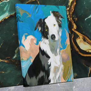 Border Collie Whirlwind