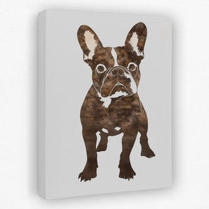 Brown Frenchie Portrait - Animals Canvas Wall Art