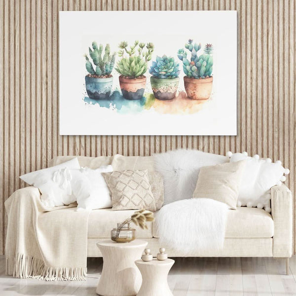 Colorful Succulents in a room