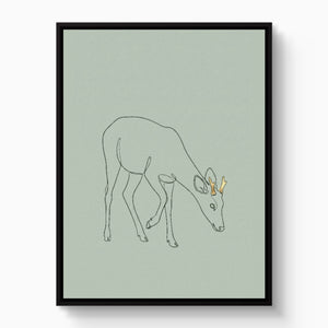 Deer Golden Grazing — deer golden grazing white studio framed black