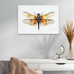 Dragonfly Arts - Dragonfly Wall Art in Black Frame