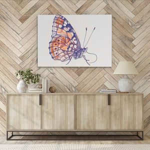 Earthly Butterfly - Wildlife Wall Art in Black Frame