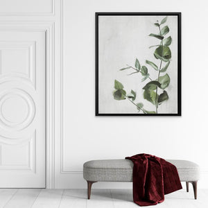 Eucalyptus - Minimalist Green Canvas Wall Art