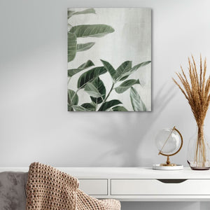 Ficus Plants - Floral Art for Hallway