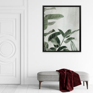 Ficus Plants - Plants Wall Art in Black Frame