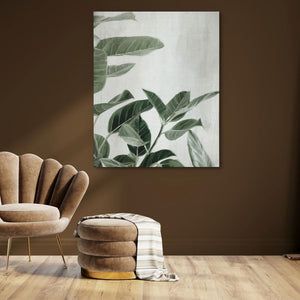 Ficus Plants - Minimalist Green Canvas Wall Art