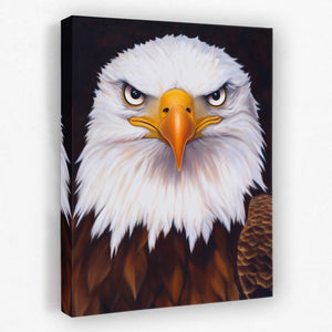 Fierce Bald Eagle - America Canvas Wall Art
