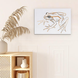 Frog Sketch - Luxury Wall Art