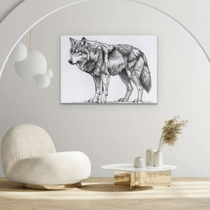 Grey Wolf - Luxury Wall Art