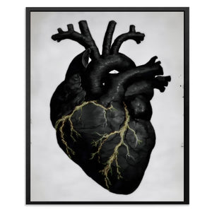 Heart Anatomical — Heart Anatomical Front Facing Portrait2 34