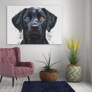 Lucky Eye - Luxury Wall Art