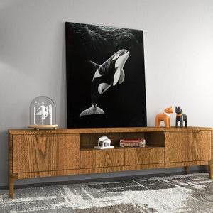 Monochrome Orca - Luxury Wall Art