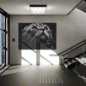 Munchkin Cat Luminous Eyes โ Munchkin Cat Luminous Eyes New Luxury Grey Office Land 227