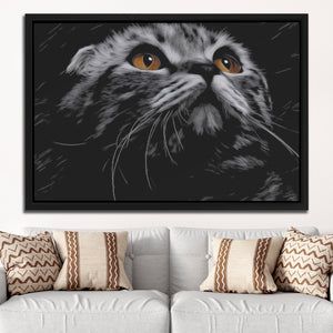 Munchkin Cat Luminous Eyes โ Munchkin Cat Luminous Eyes White Groovy Couch Close 267