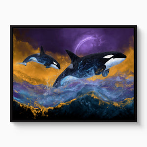 Orcas Midnight Sky โ orcas midnight sky white studio framed black