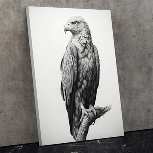 Pencil Bald Eagle - Luxury Wall Art