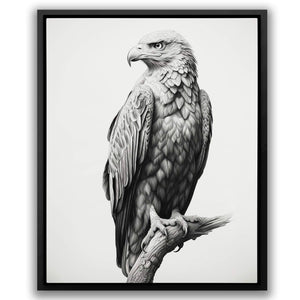 Pencil Bald Eagle - Luxury Wall Art