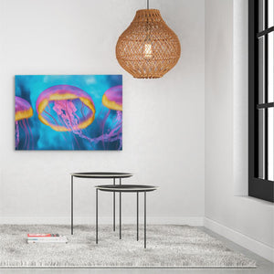Pink and Blue Jellyfish - Luxury Wall Art
