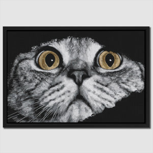 Scottish Fold Intense โ Scottish Fold Intense Close Up Landscape 65