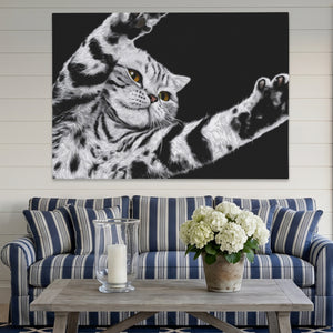 Scottish Fold Reaching โ Scottish Fold Reaching Striped Couch Land 194