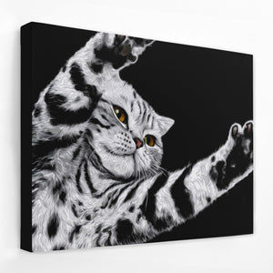 Scottish Fold Reaching โ Scottish Fold Reaching Landscape Side View Black Wrap 98