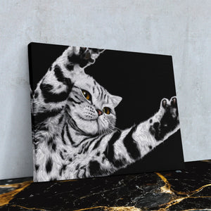 Scottish Fold Reaching โ Scottish Fold Reaching Against Wall4x5 Reflect 2