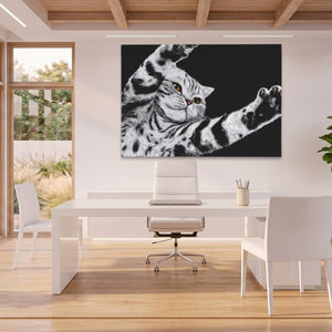 Scottish Fold Reaching โ Scottish Fold Reaching Beach House Office Land 18