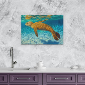Shallow Seal Swimming - Luxury Wall Art