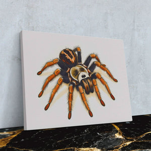 Velvet Stalker - Wall Art in Black Frame