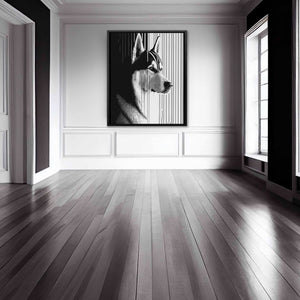 Husky Gaze - Luxury Wall Art