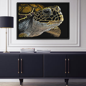 Turtle's Journey - Luxury Wall Art