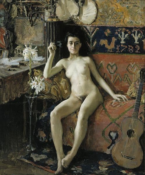 Démasquée by Akseli Gallen-Kallela at Ateneum Art Museum